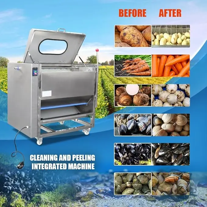Commercial Potato Peeler and Washer 300-500 KG/Hour Capacity 1100W Roller Brush Type Potato Peeling Machine (Potato Peeler & Washer) - Image 5